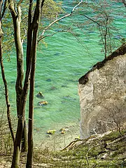Bild - Wandersafari-Fruehling-Kreidekueste-PL.jpg