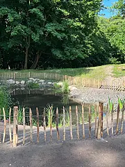 Bild - koenigsstuhl-van-ackeren-_Teich-21072023.jpg