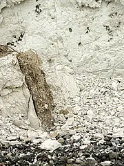 Bild - Kreideblock.jpg