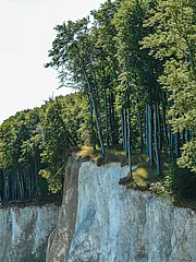 Bild - Hochufer_und_Wald_02.jpg