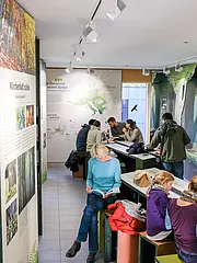 Bild - In einem Ausstellungsraum sitzen mehrere Menschen an Tischen, lesen oder arbeiten. An den Wänden sind Informationstafeln zu Ökosystemen und Buchenwäldern angebracht. Eine Frau mit blauen Oberteil sitzt mit einem Buch in der Hand. Das Ambiente ist freundlich und lehrreich.
