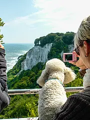 Bild - KOENIGSSTUHL-aussichtsplattform-sommer-mit-hund.jpg