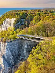 Bild - Luftaufnahme des Königstuhls mit dem Skywalk