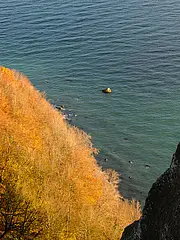 Bild - Kliffhangwald_im_Herbst.jpg