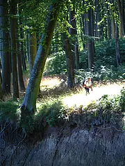 Bild - wandern-entlang-des-hochuferweges-2.tif