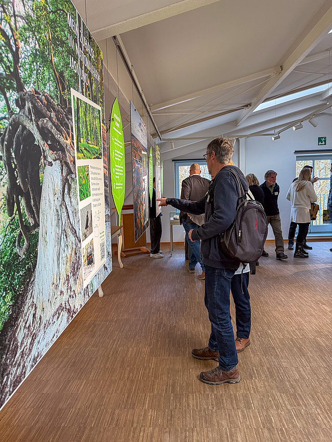 Eine Person steht vor einer Wand mit Informationsplakaten über Natur und Pflanzen. Im Hintergrund sind weitere Besucher zu sehen, die sich ebenfalls mit den Ausstellungsinhalten beschäftigen. Der Raum hat große Fenster und eine helle, einladende Atmosphäre.