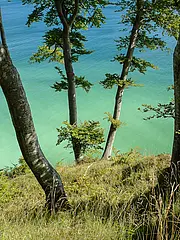 Bild - Kliffhangwald_05.jpg