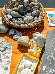 Bild - gruppenprogramm-kreidewerkstatt.tif