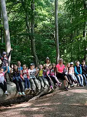 Bild - Eine Gruppe von Kindern und Erwachsenen sitzt fröhlich auf einem umgestürzten Baum im Wald. Viele der Kinder winken in die Kamera und zeigen ihre Freude an diesem Outdoors-Ausflug. Die Umgebung ist grün und sonnig, was eine fröhliche Atmosphäre schafft.