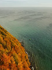 Bild - Buchenwald_mit_Ostsee_im_Herbst.jpg