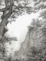 Bild - Kummerblick zum Königsstuhl, schwarz-weiß-Zeichnung von Bäumen