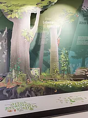 Bild - NP-Sassnitz_WWF_UNESCO_001.tif