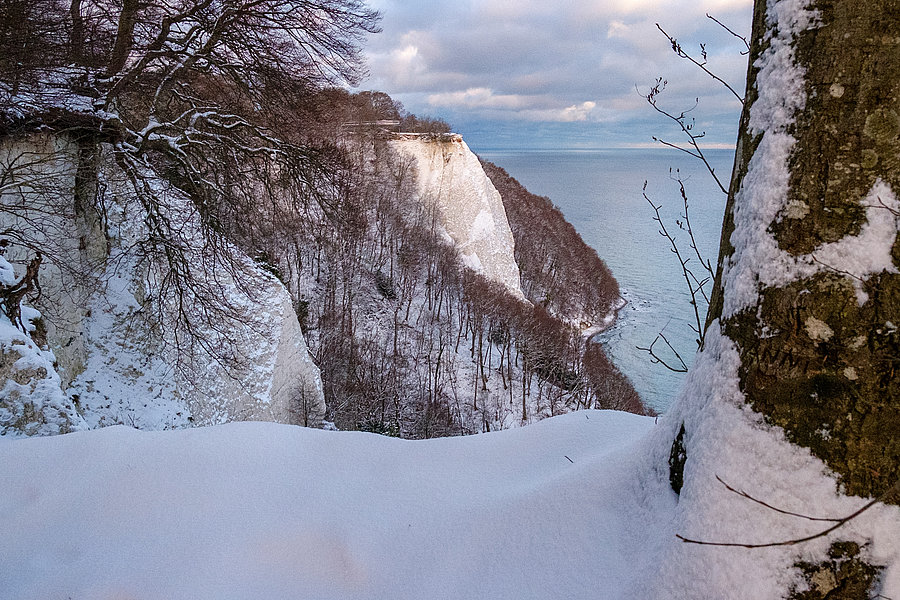 Winterliche Stimmung im Nationalpark Jasmund mit Blick auf den Königsstuhl
