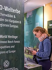 Bild - Die Ausstellung zeigt Informationen zu den UNESCO-Welterben, insbesondere den alten Buchenwäldern der Karpaten und anderen Regionen Europas. Eine Person betrachtet mit Interesse Dokumente am Informationsstand, um mehr über das Thema zu erfahren.