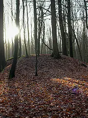 Bild - 12_11-l-huegelgraeber-im-winter.tif