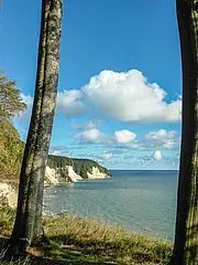 Bild - Hochuferwald.jpg