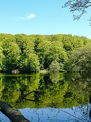 Bild - Herthasee.jpg