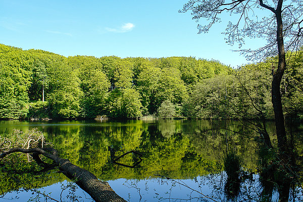 Herthasee
