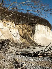 Bild - 02_01-l-abbruch-mit-buchen.tif
