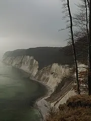 Bild - 11_30-nebel-an-der-kreidekueste.tif