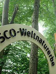 Bild - UNESCO_Welterbefenster.jpg