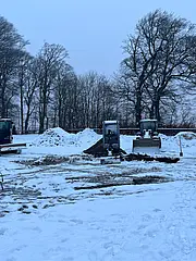 Bild - koenigsstuhl-van-ackeren-romantikwiese-05122023.jpg