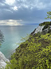 Bild - Ein Küstenblick mit steilen, weißen Klippen und einem ruhigen, glitzernden Wasser im Hintergrund. Die Landschaft ist von grünen Bäumen und Sträuchern geprägt, während der Himmel bewölkt und grau ist, was eine ruhige Stimmung vermittelt.