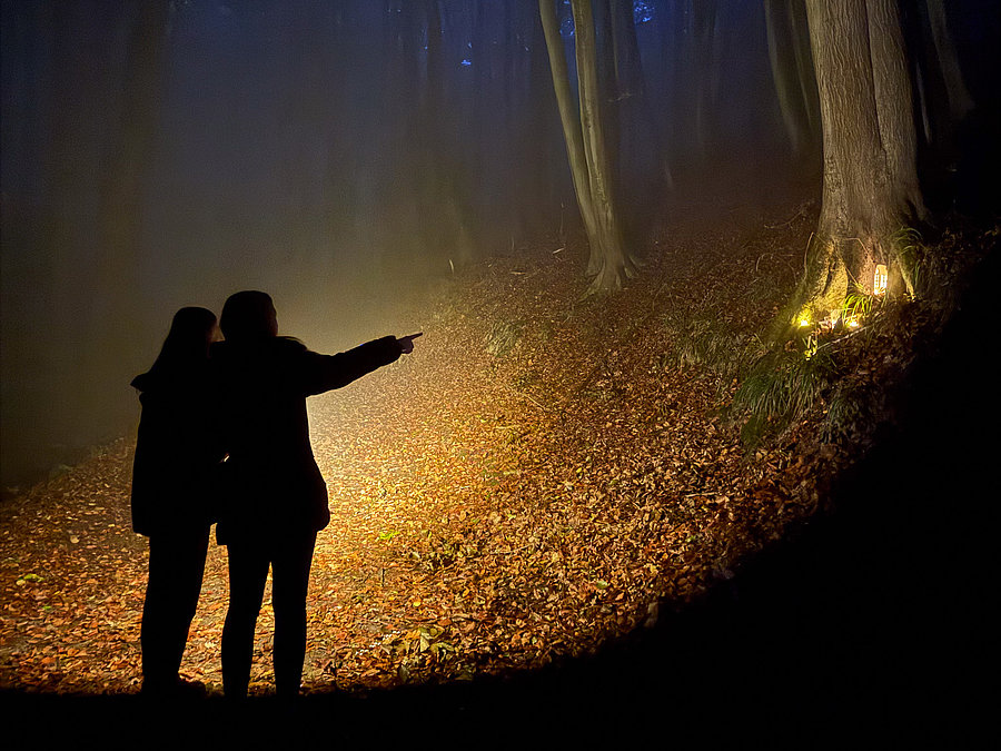 Zwei Personen stehen in einem nebligen Wald und zeigen auf einen beleuchteten Bereich am Baum. Der Boden ist mit buntem Herbstlaub bedeckt, während der Hintergrund von dunklen Baumstämmen und bläulichem Licht geprägt ist.