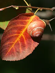 Bild - 10_27.tif