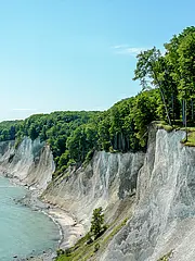 Bild - Hochufer_und_Wald_03.jpg