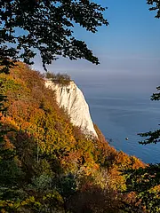 Bild - koenigsstuhl-im-herbst.jpg