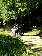 Bild - 08_10.tif
