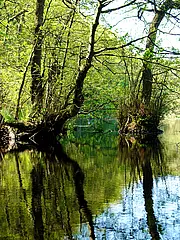 Bild - 09_01.tif