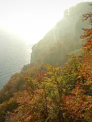 Bild - 10_28.tif