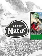 Bild - 160912_so-tickt-natur.jpg