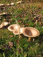 Bild - 10_12.tif