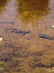 Bild - 09_18.tif
