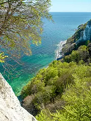 Bild - KOENIGSSTUHL-aussichtsplattform-fruehling-blattaustrieb.jpg