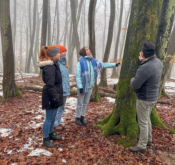 Fünf Personen stehen im Nebelwald und betrachten einen Baum. Eine Person zeigt auf den Baum, während die anderen aufmerksam zuschauen. Der Boden ist mit Laub und etwas Schnee bedeckt. Die Atmosphäre wirkt ruhig und lehrreich.