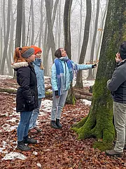 Fünf Personen stehen im Nebelwald und betrachten einen Baum. Eine Person zeigt auf den Baum, während die anderen aufmerksam zuschauen. Der Boden ist mit Laub und etwas Schnee bedeckt. Die Atmosphäre wirkt ruhig und lehrreich.