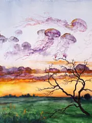 Bild - quallenhimmel-final-72dpi-1-300x225.jpg