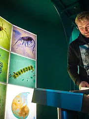 Bild - erlebnisausstellung-ostsee-unterwasserwelt.jpg