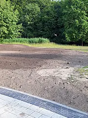 Bild - koenigsstuhl-gruenflaechen-20240610.jpg