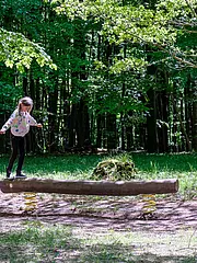 Bild - Ein junges Mädchen steht auf einem dicken Holzstamm in einem Wald. Um sie herum ist eine grüne, baumreiche Umgebung zu sehen. Der Stamm ist auf Federn gelagert, was ihm eine elastische Bewegung ermöglicht. Der Boden ist mit Gras und Erde bedeckt.