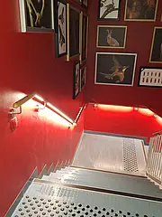Bild - koenigsstuhl-lichtinstallationen-20240126.jpg