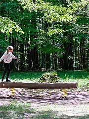 Bild - Ein Kind balanciert auf einem Holzstamm in einem Wald. Der Boden ist grün mit Gras und es gibt einige Baumstämme im Hintergrund. Die Bäume sind dicht und das Licht fällt durch die Blätter, was eine freundliche, ruhige Atmosphäre erzeugt.