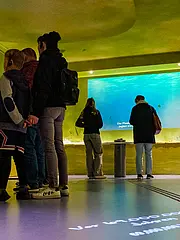 Bild - nzk-l-indoor-02-kreidemeer-pers.jpg