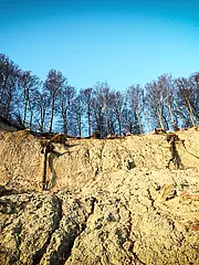 Bild - 0319-maerz-abbruch-an-der-kreidekueste.tif