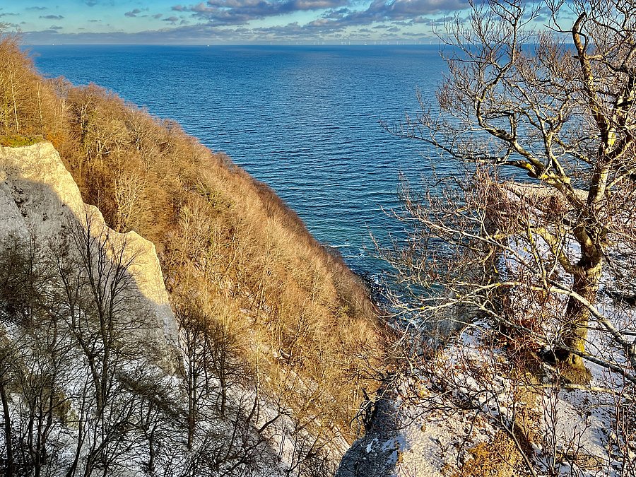 Eine Klippenlandschaft mit schneebedeckten Hängen und kahlen Bäumen, die steil zum blauen Wasser des Meeres abfallen. Der Himmel ist teils bewölkt, was eine ruhige und frostige Atmosphäre schafft.