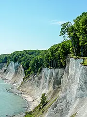 Bild - gruppen-wanderung-fossilien-kreide-kliff.tif